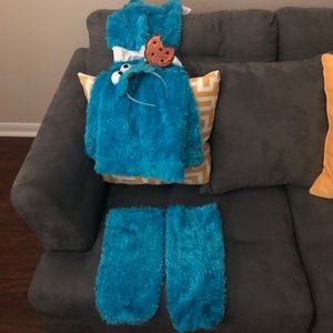 Cookie Monster costume